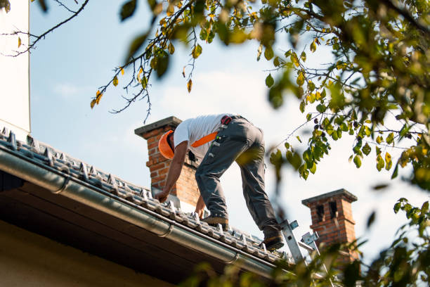 Roof Gutter Cleaning in Wayne, PA
